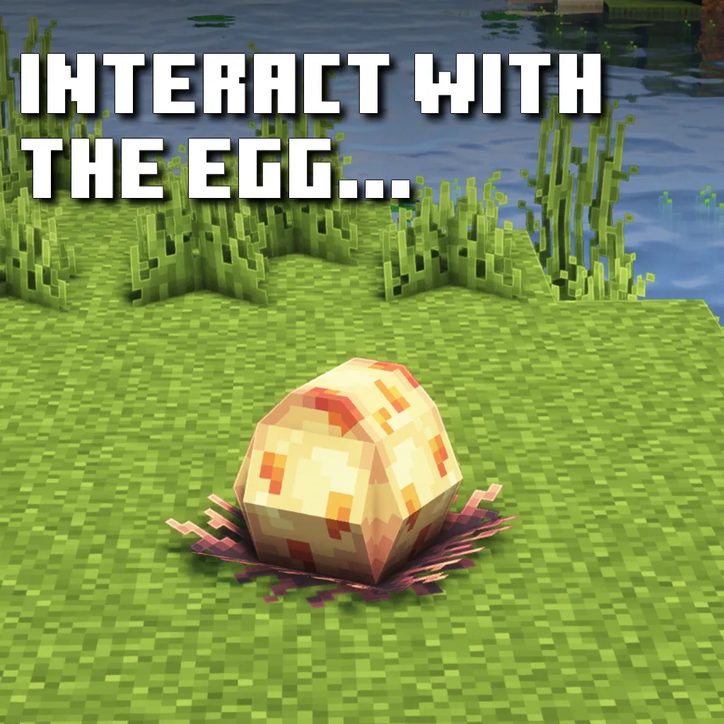 1738553024650.png