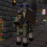 Town Guard Pack