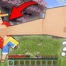 [LittleRoom] MONKEY D LUFFY!
