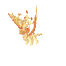Fall Drakonin