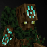 Ent Pack