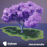 [CalvenMC] Jacaranda Tree