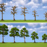 Oak Trees & Mangrove Trees by MrMattRanger (World/litematic/schem)