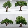 [CalvenMC] Oak Tree Pack