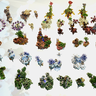 ☀️ 38 SkyBlock starter islands