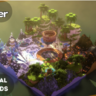 Kit PvP Arena | Full Build | Multi Biome v1.8+